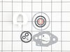 9141000-2-S-Briggs and Stratton-798521-Kit-Carb Overhaul