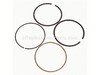 Ring Set-020 – Part Number: 793324