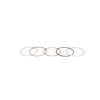 Ring Set – Part Number: 843806