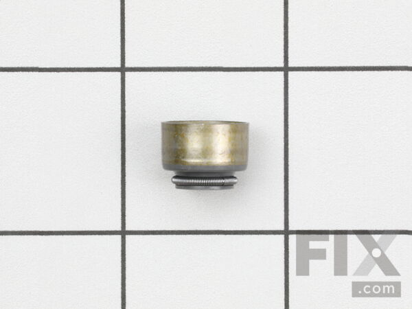 9147017-1-M-Briggs and Stratton-820041-Seal-valve