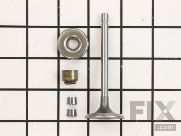 9147392-1-M-Briggs and Stratton-843751-Valve-Intake