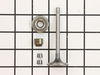 Valve-Intake – Part Number: 843751