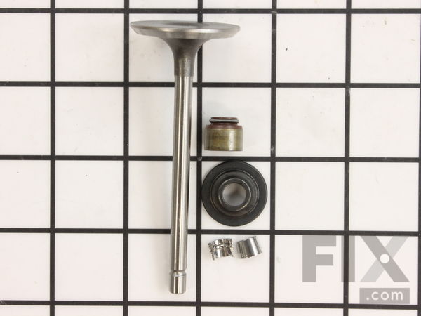 9147470-1-M-Briggs and Stratton-843730-Valve-intake
