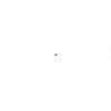 9151144-2-S-Echo-90010006016-Bolt 6x16