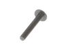 9151281-2-S-Echo-9131805032-Chainsaw Screw