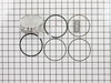 Piston Assembly – Part Number: 795858