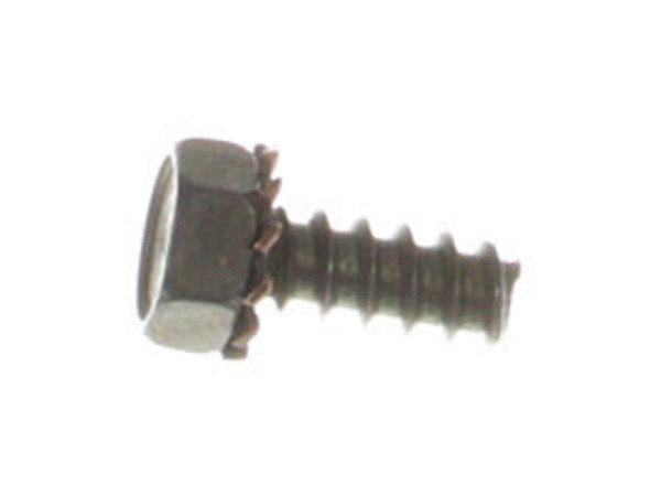 9152325-1-M-Echo-88995325560-Bolt