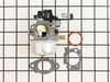 Carburetor – Part Number: 799226