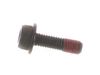Trimmer Screw – Part Number: 9111005016