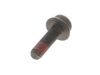 9153395-2-S-Echo-9111005016-Trimmer Screw
