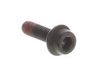 9153395-3-S-Echo-9111005016-Trimmer Screw