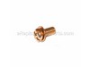 Screw – Part Number: 9157304010