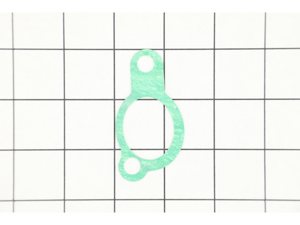 9170909-1-M-MTD-951-11225-Intake Gasket