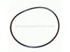 9171982-1-S-Echo-9250109500-O-ring