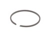 Piston Ring – Part Number: A101000090