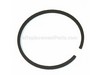 Piston Ring – Part Number: A101000350