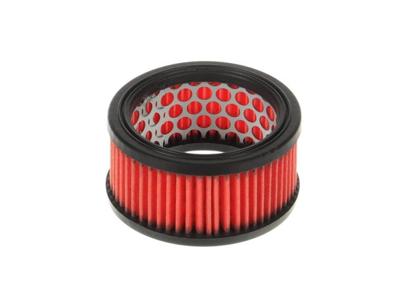 9195222-1-M-Echo-A226000070-Filter-air