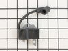 Coil-Ignition – Part Number: A411000460