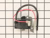 Coil Assembly – Part Number: A411000861