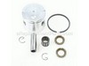 Piston Kit – Part Number: P021009771