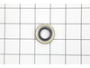 Oil Seal – Part Number: V510000000