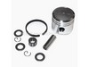 Piston Kit – Part Number: P021001113