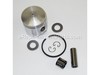 Piston Kit – Part Number: 10000002412