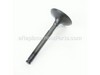 Valve-Intake – Part Number: 12004-2116