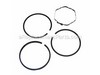 Ring Set-std – Part Number: 391654