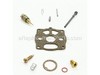 Kit-carb Overhaul – Part Number: 394010