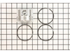 Piston Assembly-020 – Part Number: 499962
