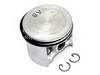 Piston Cpl – Part Number: 501894103