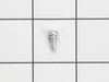 Screw W/ Washer – Part Number: 503117501