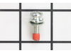 Screw – Part Number: 531003273