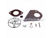 Kit-carb Overhaul – Part Number: 695427