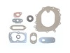 9295096-1-S-Briggs and Stratton-697010-Gasket Set-Engine