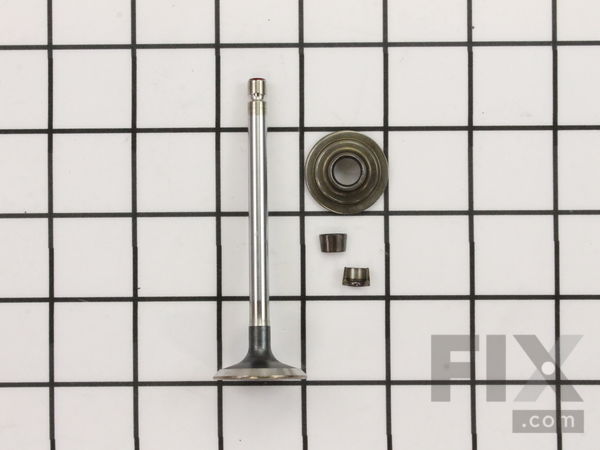 9295118-1-M-Briggs and Stratton-697576-Valve-exhaust
