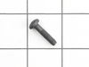 Screw – Part Number: 698589