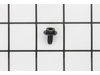 Engine Muffler Guard Screw – Part Number: 699854