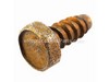 Screw-tap – Part Number: 710-0919
