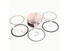 Piston Assembly – Part Number: 792307