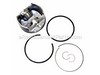 Piston Assembly-020 – Part Number: 792728