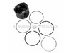 Piston Assembly-020 – Part Number: 795689
