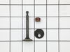 Valve-Intake – Part Number: 797198