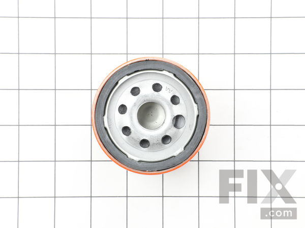 9306998-1-M-Briggs and Stratton-798576-Filter-oil