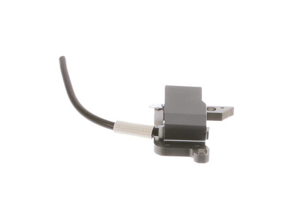 9321810-1-M-Echo-P021003910-Coil-ignition