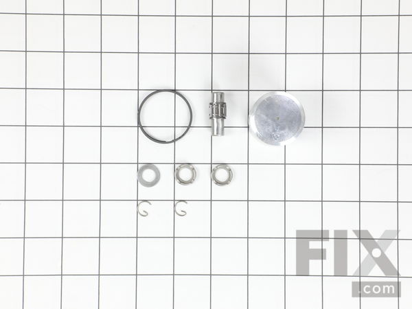9321820-1-M-Echo-P021006802-Piston Kit