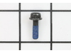 Bolt Torx – Part Number: 506745601