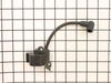 Ignition Module – Part Number: 530052266