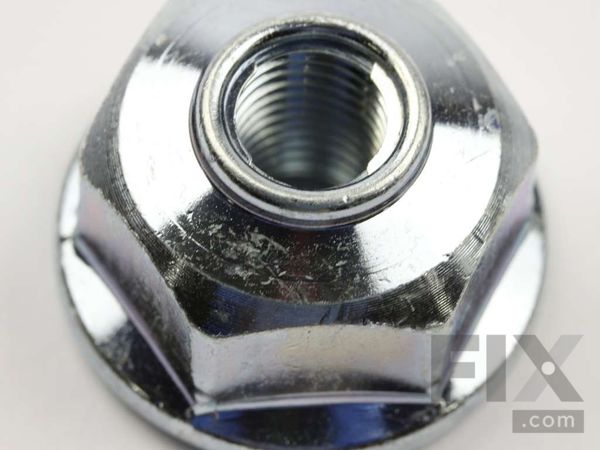 960547-1-M-GE-WH01X10209        -NUT